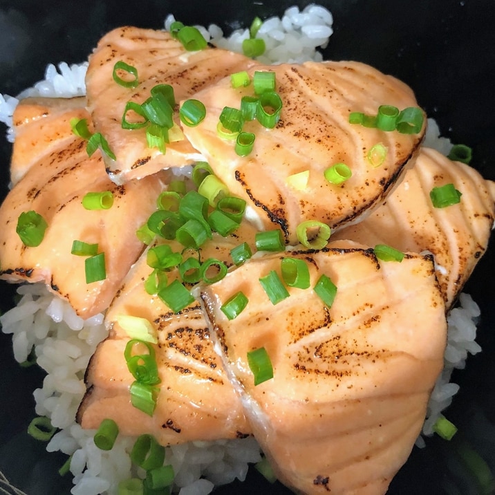 炙りサーモン丼